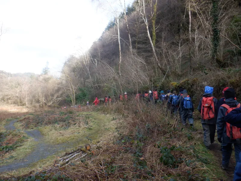 Gallery - created at 2025-02-25 21:38:38 - image 27