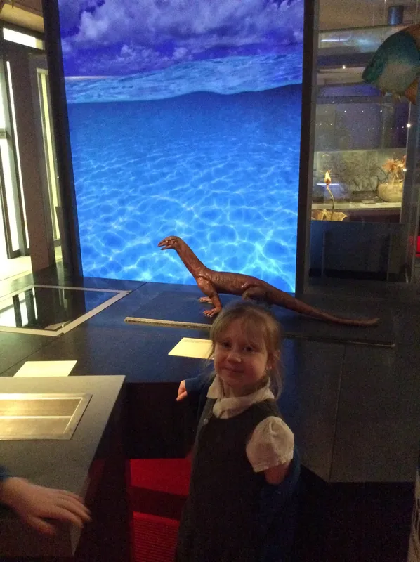 Gallery - created at 2024-02-09 11:53:37 - image 63