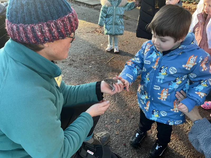 Stella farm on wheels Part 1 - image 8