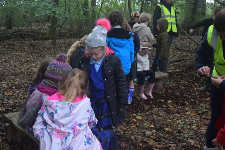 Gallery 6 - image 28