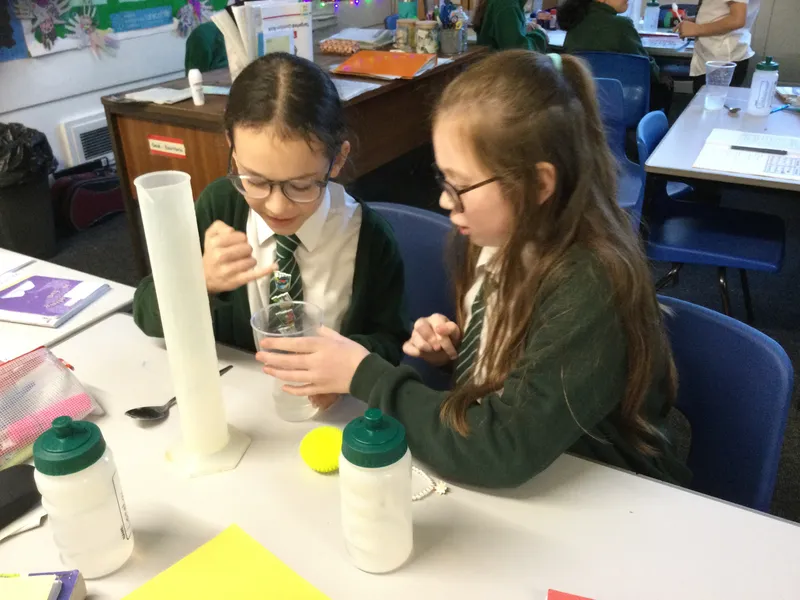 chestnut 2024 - chemical reactions - image 18