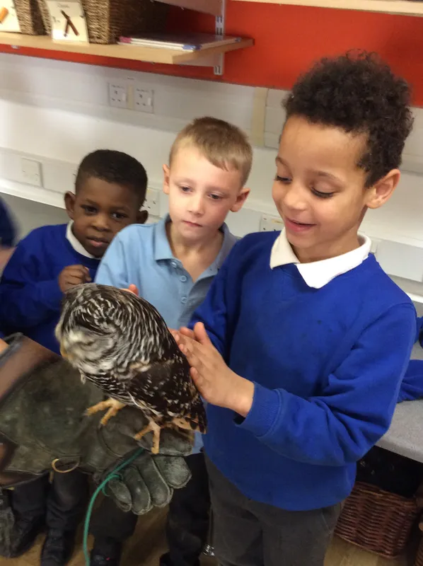 Gallery - created at 2024-02-26 17:15:57 - image 8 Gallery - created at 2024-02-26 17:15:57 - image 8