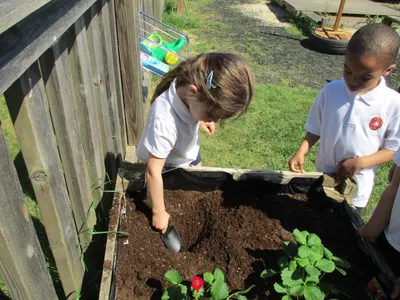 Planting - image 26