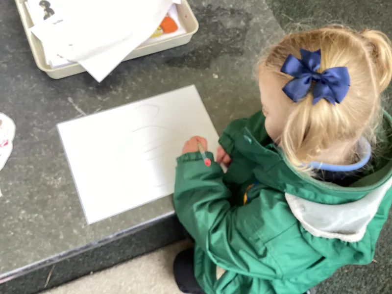 christmas pine 25 - image 8 christmas pine 25 - image 8