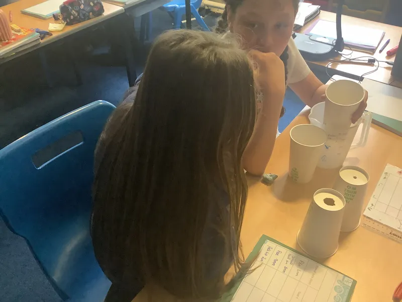 Y6 Science Heart - image 3