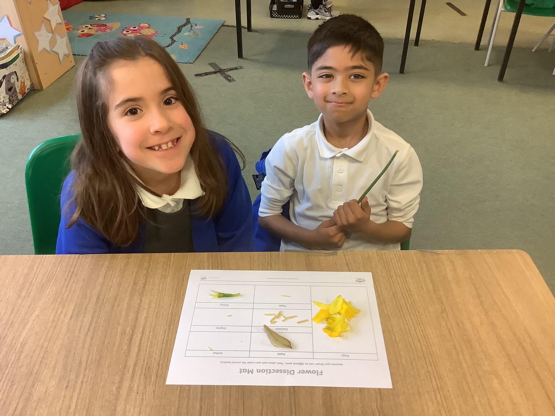 Scientific Woodpeckers