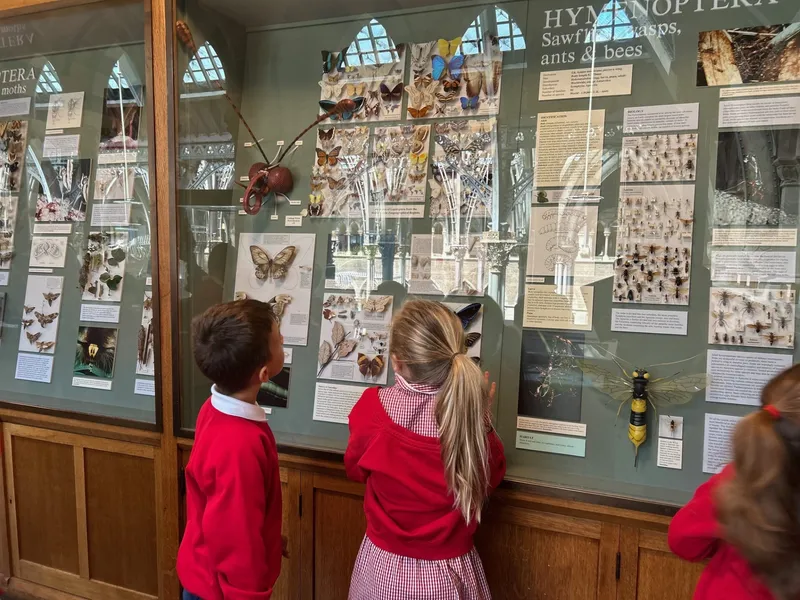 Gallery - created at 2025-05-15 20:19:39 - image 23