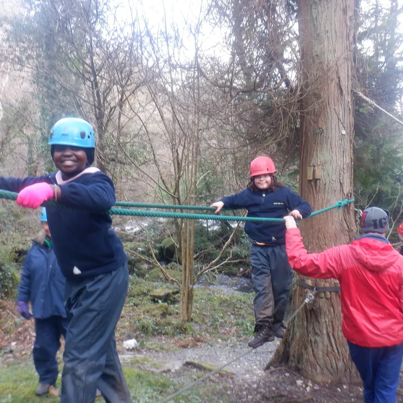 Gallery - created at 2025-02-27 19:57:56 - image 15