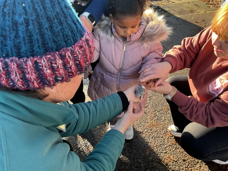 Stella farm on wheels Part 1 - image 57