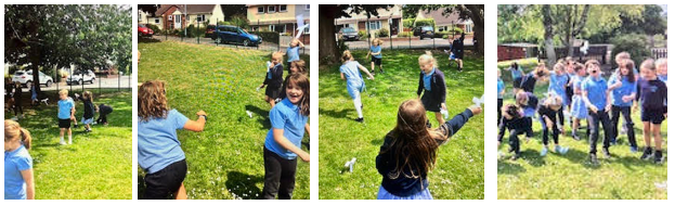 Seed dispersal