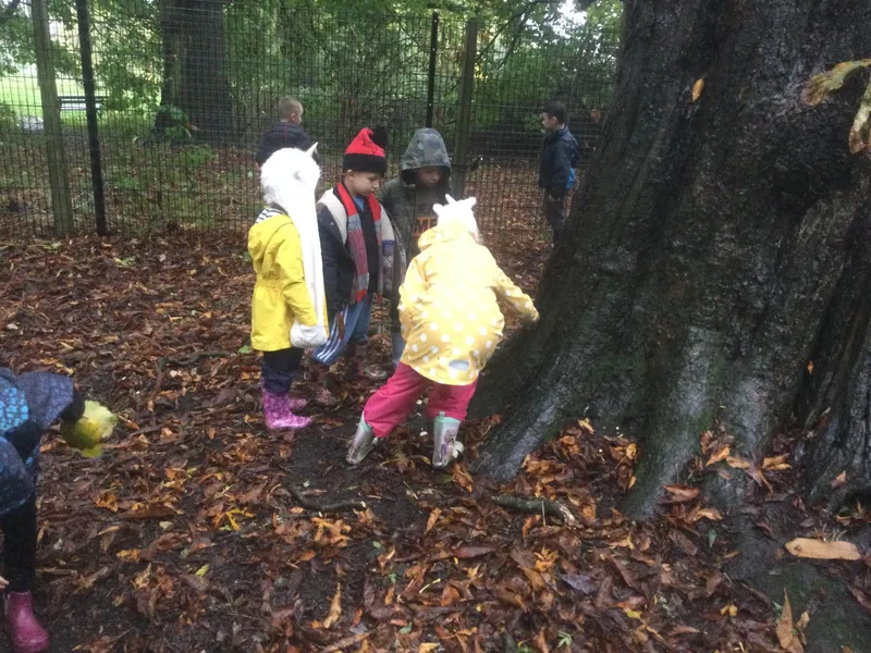 Year 3 - Autumn - image 1 Year 3 - Autumn - image 1