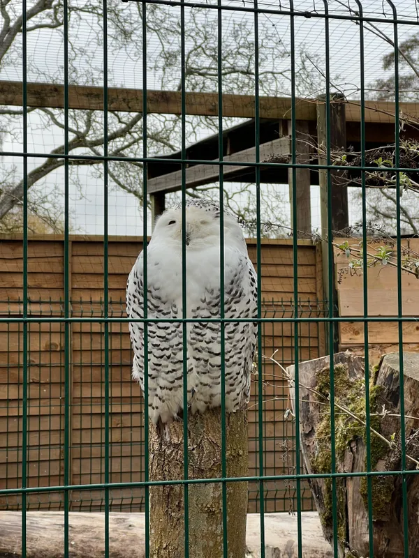 Gallery - created at 2023-02-28 20:50:59 - image 5 Gallery - created at 2023-02-28 20:50:59 - image 5