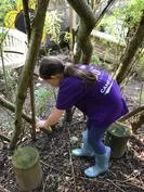 Forest School 149 - image 4 Forest School 149 - image 4