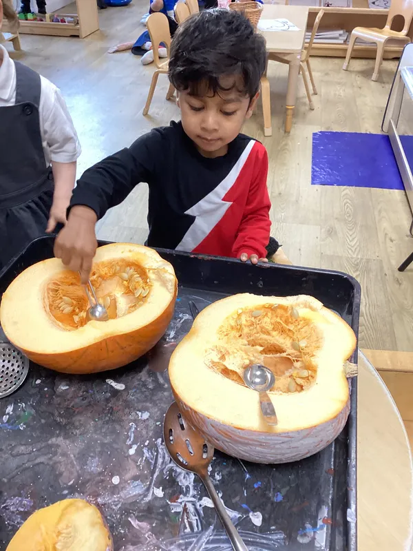 Gallery - created at 2024-10-31 07:35:31 - image 60 Gallery - created at 2024-10-31 07:35:31 - image 60