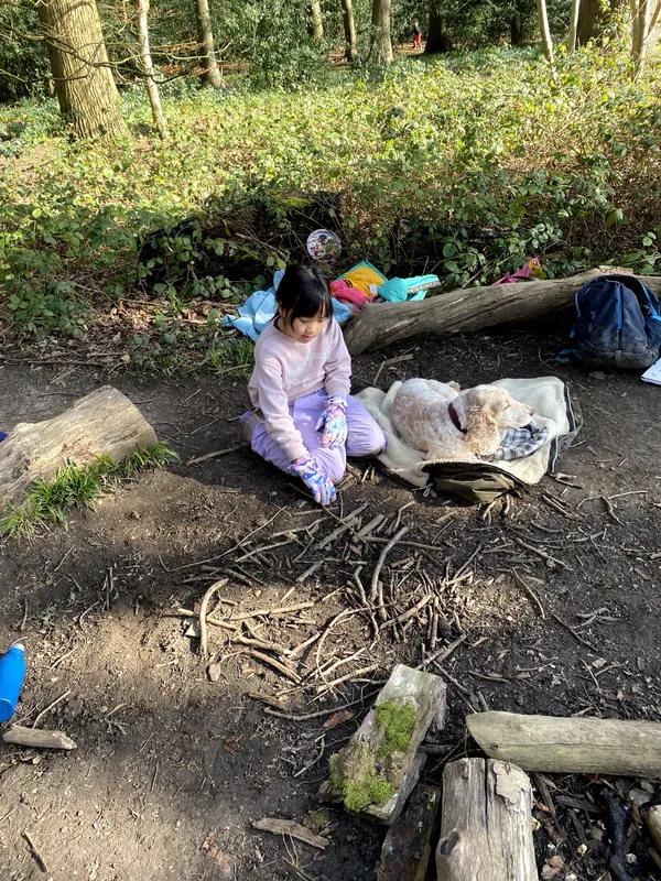 Term 4 Week 4 - image 11