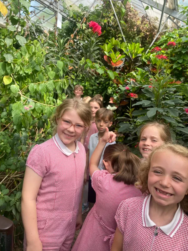 Gallery - created at 2025-06-20 13:57:48 - image 5