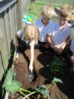 Planting - image 12