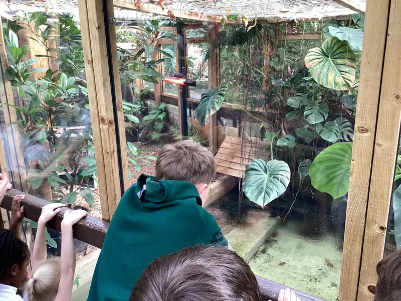 Gallery - created at 2025-03-14 10:11:21 - image 14 Gallery - created at 2025-03-14 10:11:21 - image 14