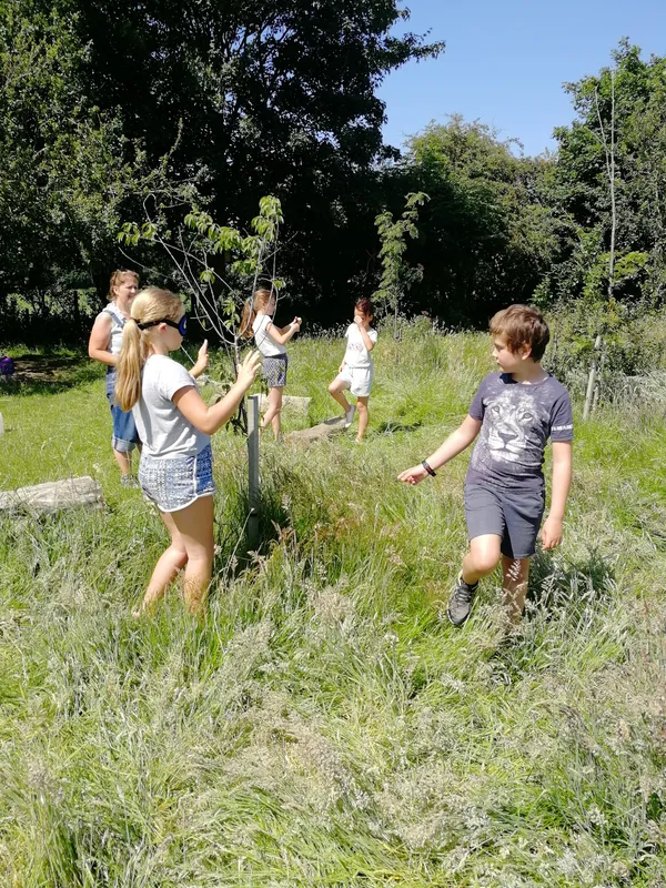 Gallery - created at 2020-07-02 13:39:25 - image 6