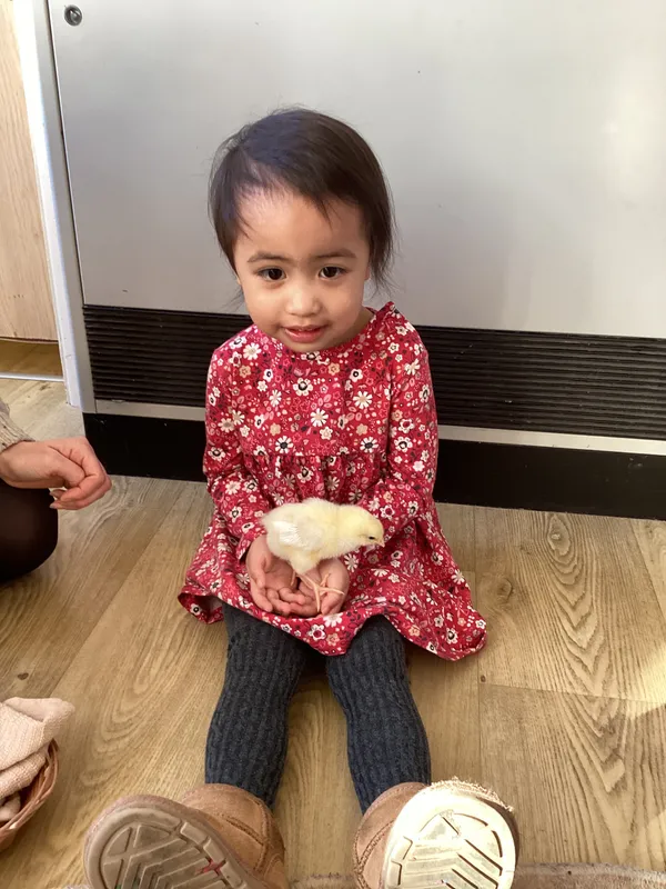 Gallery - created at 2025-04-08 15:36:47 - image 23