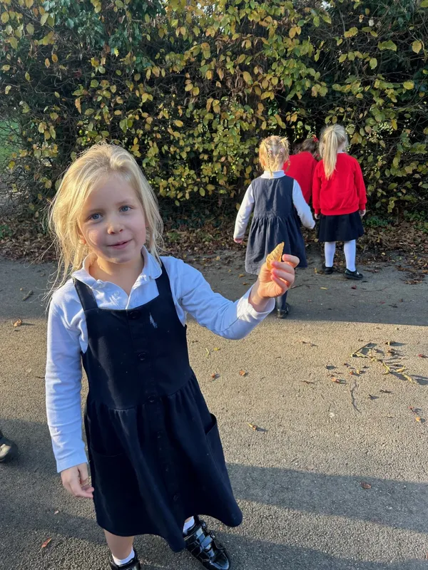 Gallery - created at 2024-11-15 12:36:22 - image 12