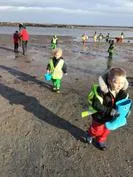 Forest School 109 - image 1 Forest School 109 - image 1