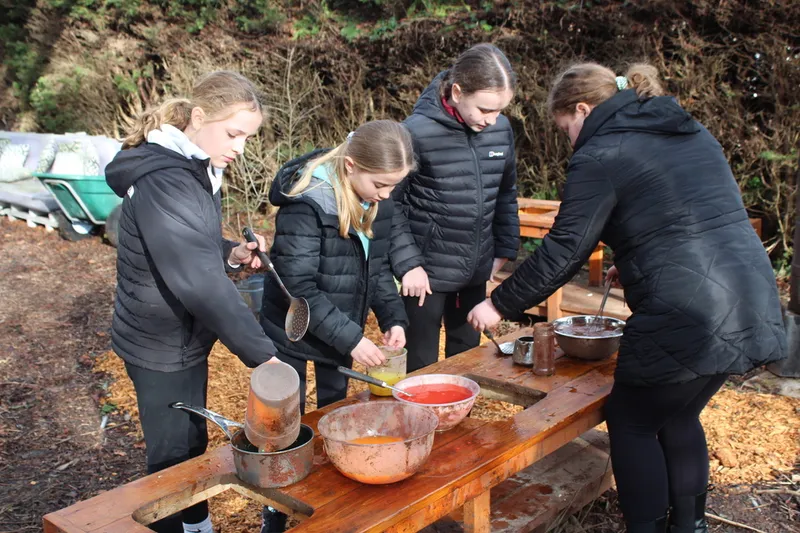 Forest Schools - image 2