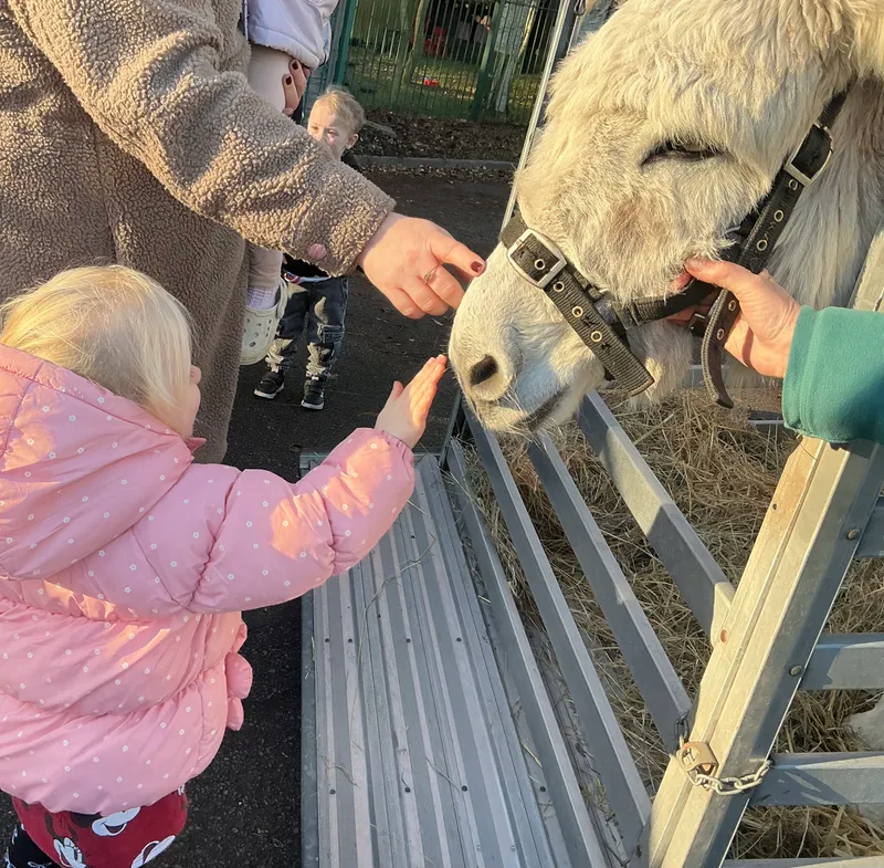 Explorers with Stella on Wheels  - image 6