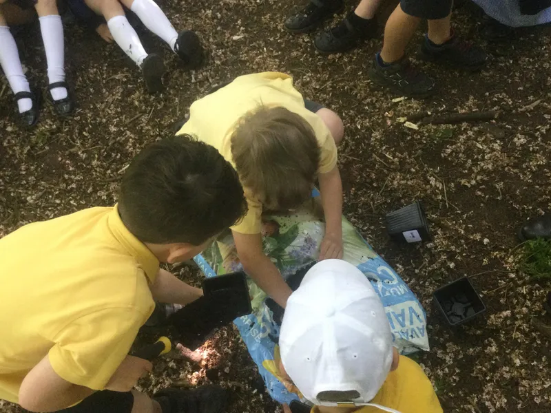 Curriculum Blogs - Science 3 - image 3 Curriculum Blogs - Science 3 - image 3