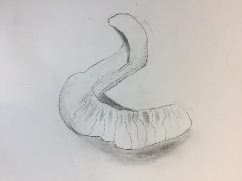 Gallery - created at 2020-05-10 14:40:54 - image 22