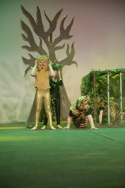 Gallery - created at 2019-03-21 11:52:23 - image 77