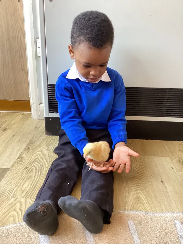 Gallery - created at 2025-04-08 15:36:47 - image 33