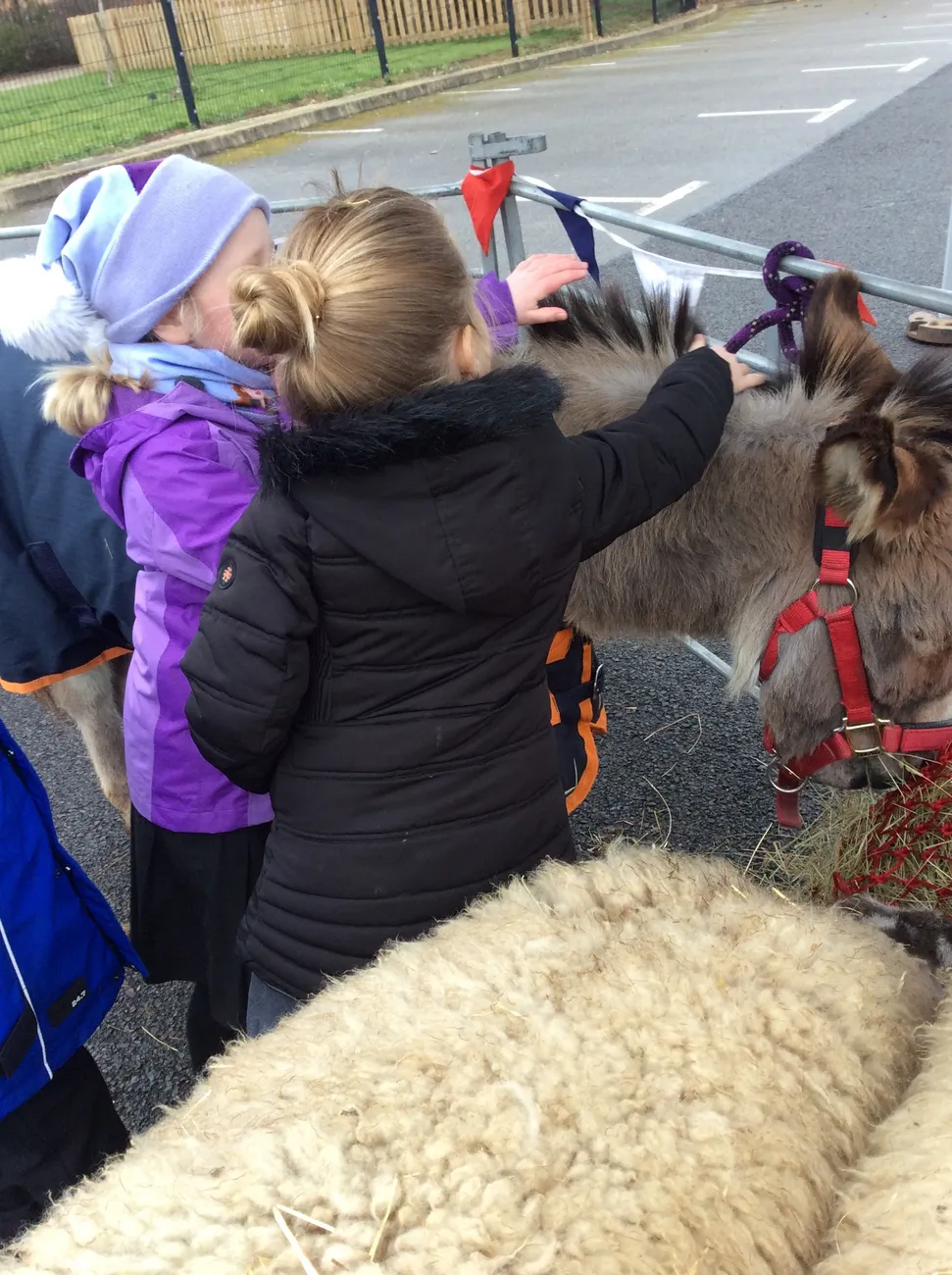 Gallery - created at 2023-03-03 16:33:51 - image 7