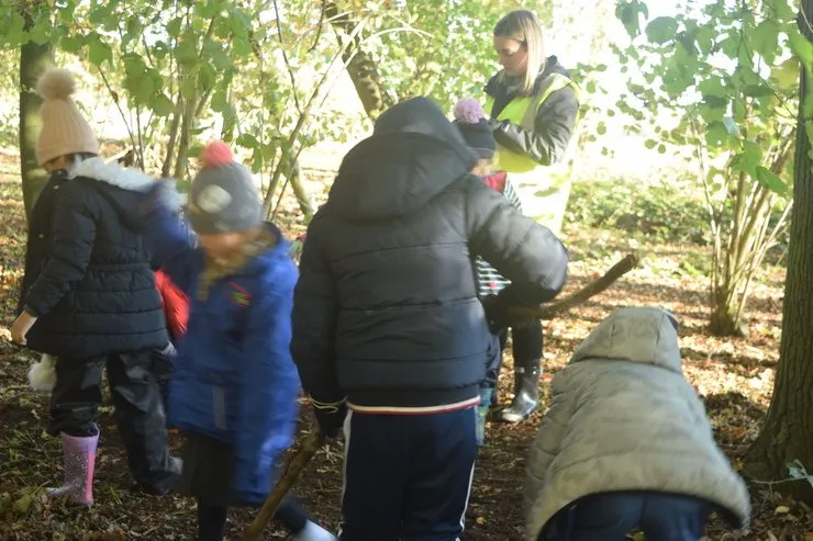 Gallery 4 - image 15