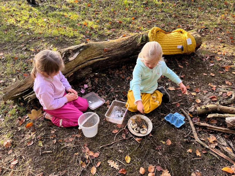 Gallery - created at 2022-11-14 17:15:19 - image 11