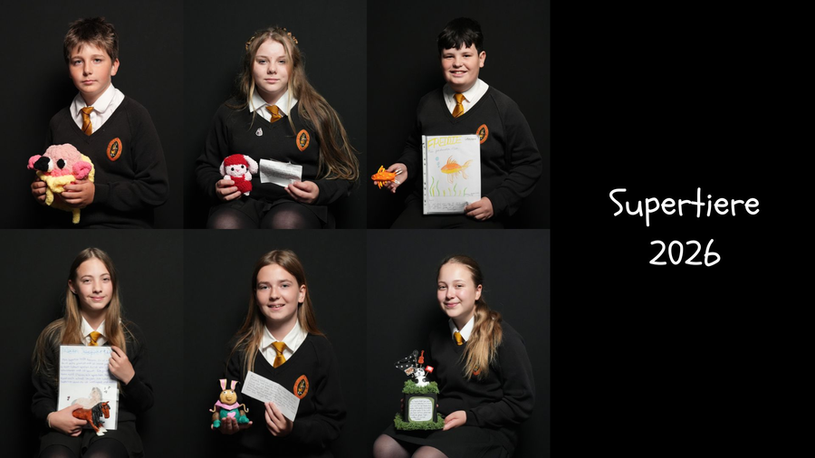 SUPERTIERE! YEAR 7 GERMAN ‘SUPERBEASTS’ COMPETITION&nbsp;