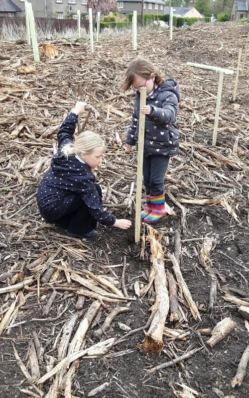 Gallery - created at 2025-04-30 13:12:16 - image 7 Gallery - created at 2025-04-30 13:12:16 - image 7