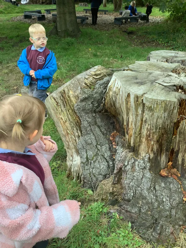 Nursery RE Creation - image 15 Nursery RE Creation - image 15