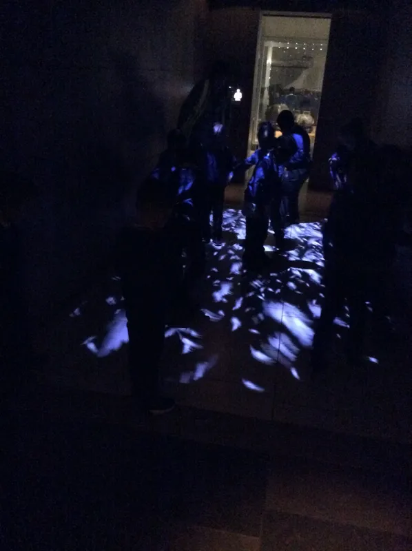 Gallery - created at 2024-02-09 11:53:37 - image 35