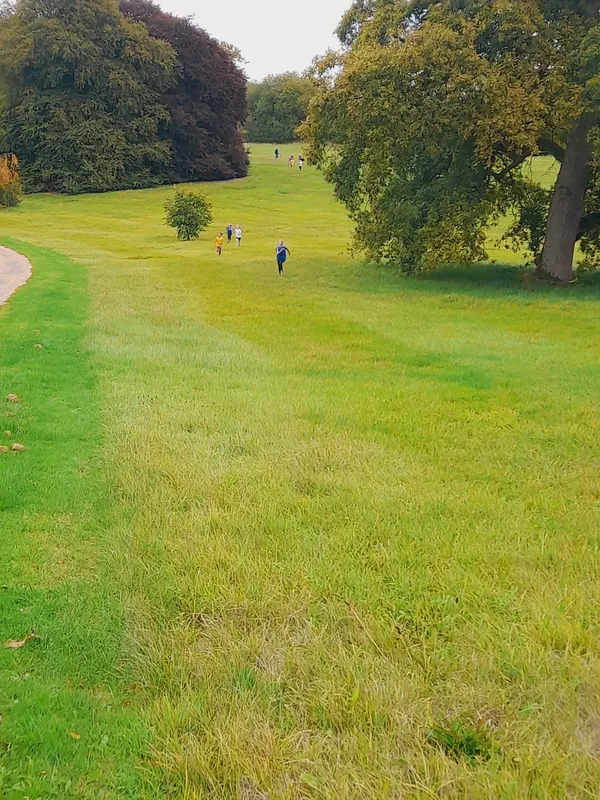 KS2 cross country - image 2 KS2 cross country - image 2
