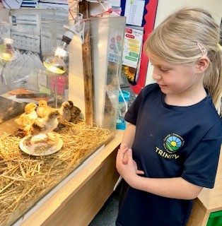 Ash Class nature explorers!