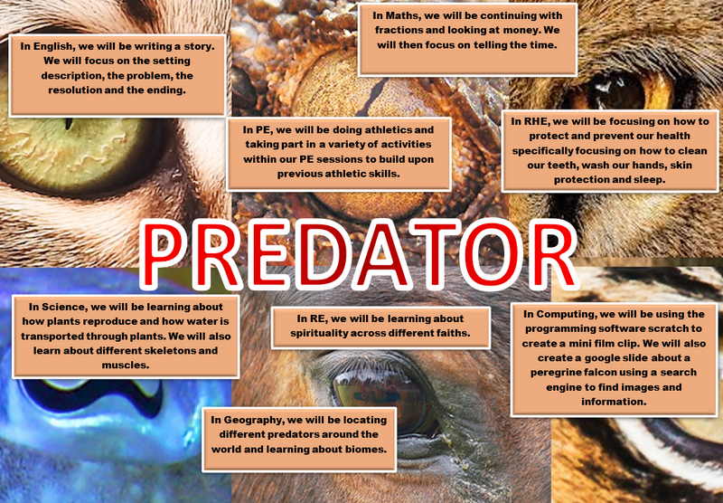 Predator