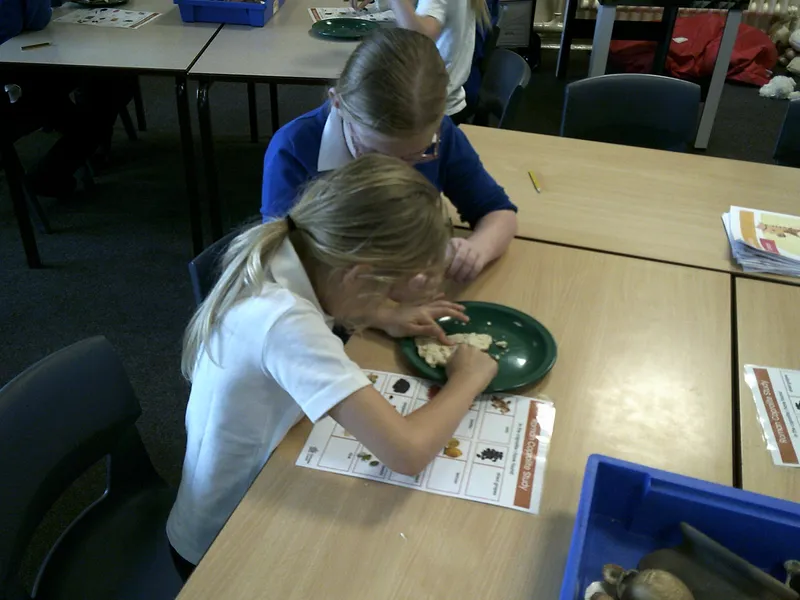 Y4 Roman Archaeology Workshop - image 23