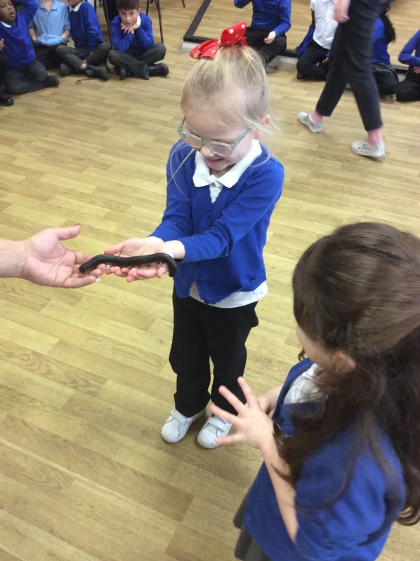 Gallery - created at 2024-03-05 13:52:56 - image 50 Gallery - created at 2024-03-05 13:52:56 - image 50