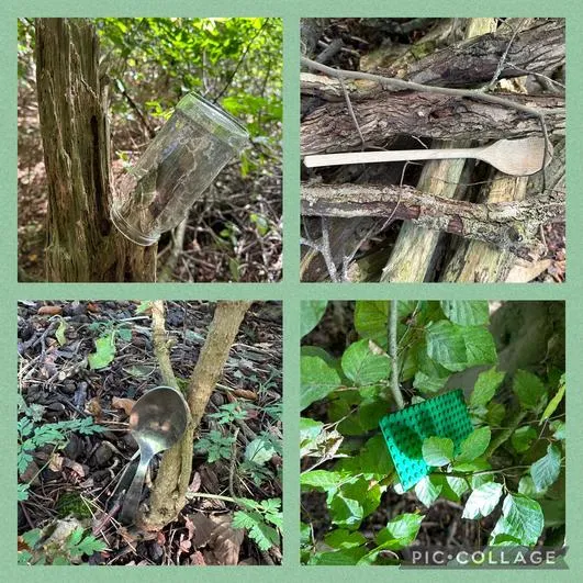 Autumn 2023 - 13th September - Acorns - Magic Corridor (materials) and Picture Frames - image 2 Autumn 2023 - 13th September - Acorns - Magic Corridor (materials) and Picture Frames - image 2