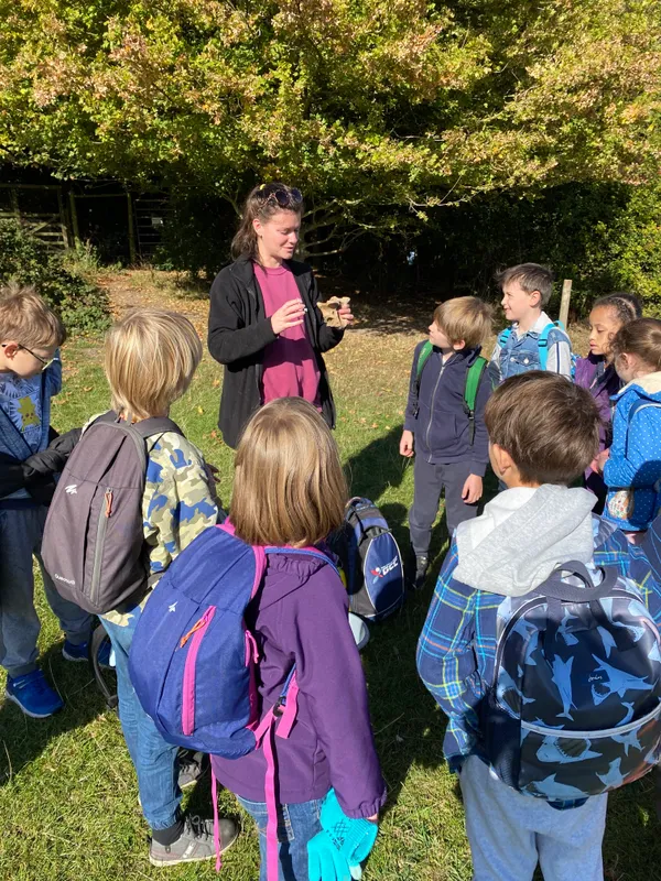 Gallery - created at 2022-09-28 19:23:05 - image 15 Gallery - created at 2022-09-28 19:23:05 - image 15