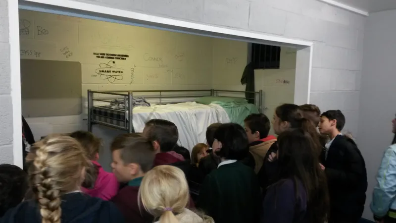 Gallery - image 8 Gallery - image 8