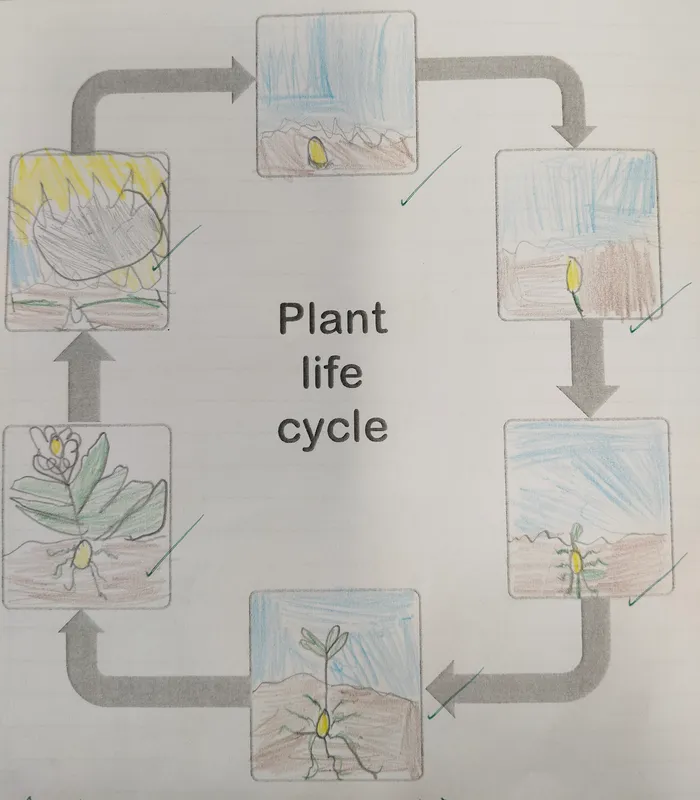 Gallery - created at 2025-05-18 08:27:35 - image 2