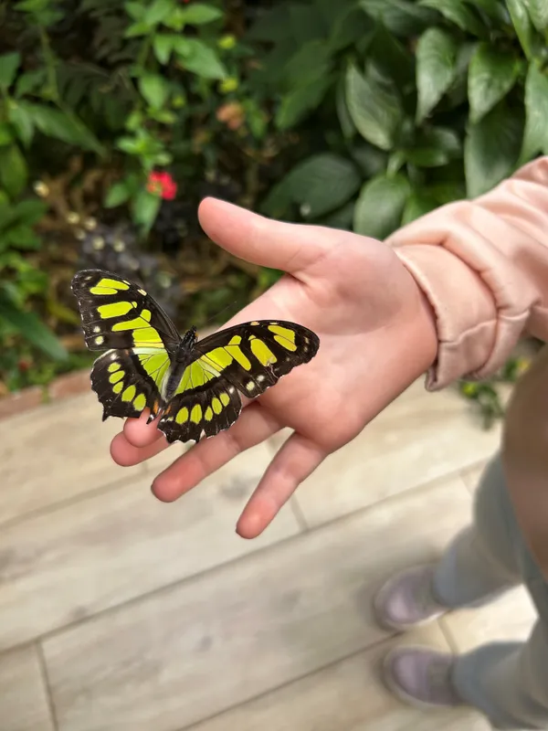 David Attenborough Family Photo Challenge - image 35