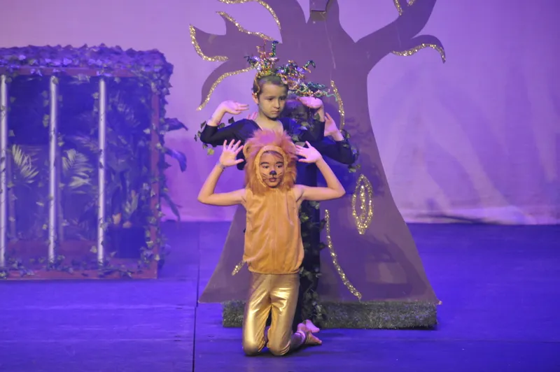 Gallery - created at 2019-03-21 11:52:23 - image 62